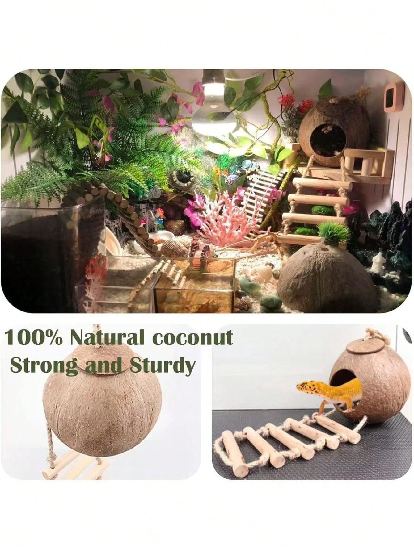 10PCS Crested Gecko Accessories Set- Natural Double Coconut With Ladder, Plants And Bridge Vines Reptile Terrarium, Leopard Gecko, Hermit Crab Or Snake Habitat Decor