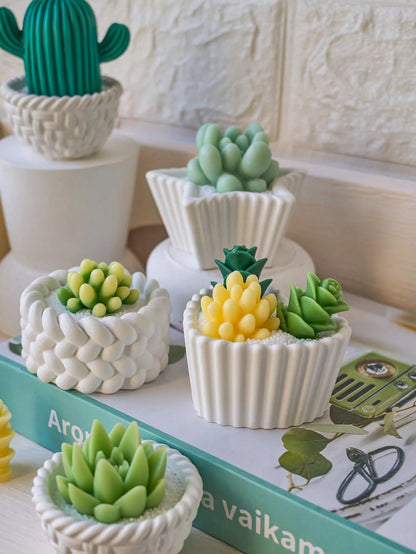 10PCS Silicone Mold For DIY Candle Making,Succulent & Cactus Plant Pot Epoxy Resin Crafting,Home Decor,Room Decor,Wedding Decor,Handmade Aromatherapy Candle Plant Mold,Soap Mould,Epoxy Resin Gypsum Mo