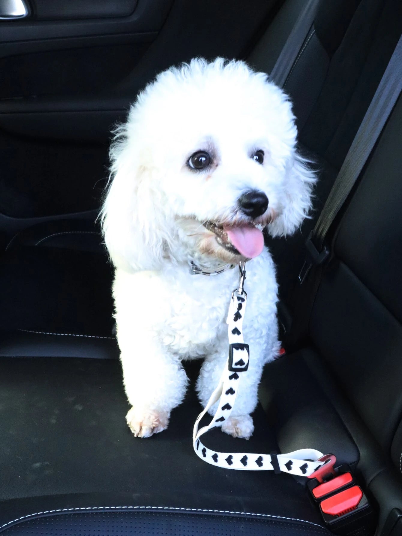 1pc Adjustable Pet Car Seat Belt With Heart Pattern, Suitable For Small Dogs And Cats For Driving
