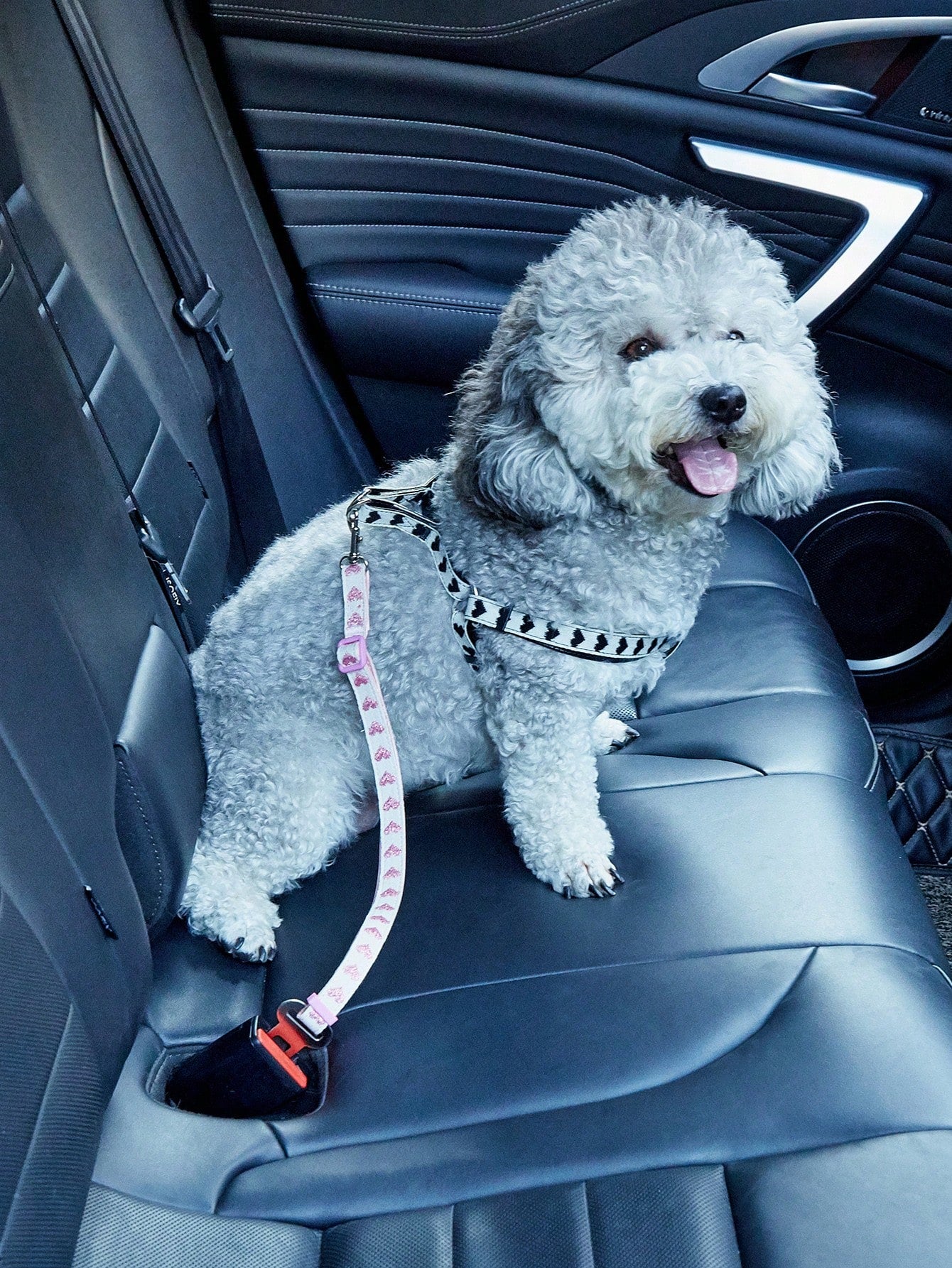 1pc Adjustable Pet Car Seat Belt With Heart Pattern, Suitable For Small Dogs And Cats For Driving