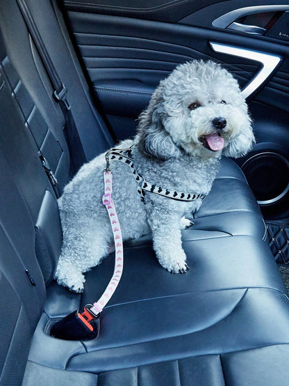 1pc Adjustable Pet Car Seat Belt With Heart Pattern, Suitable For Small Dogs And Cats For Driving