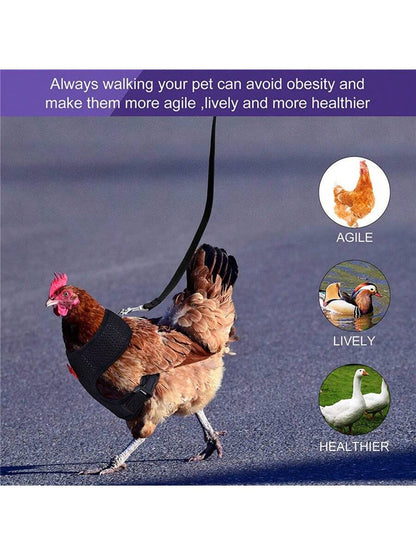 1pc Adjustable Poultry Harness With Leash, Suitable For Chickens, Ducks, Geese- Comfortable Breathable Mesh Chicken Vest