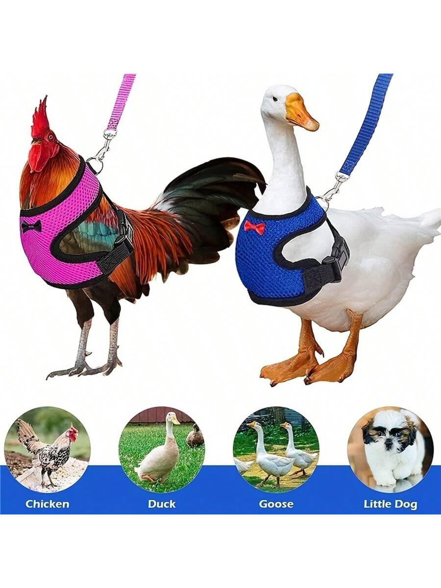 1pc Adjustable Poultry Harness With Leash, Suitable For Chickens, Ducks, Geese- Comfortable Breathable Mesh Chicken Vest