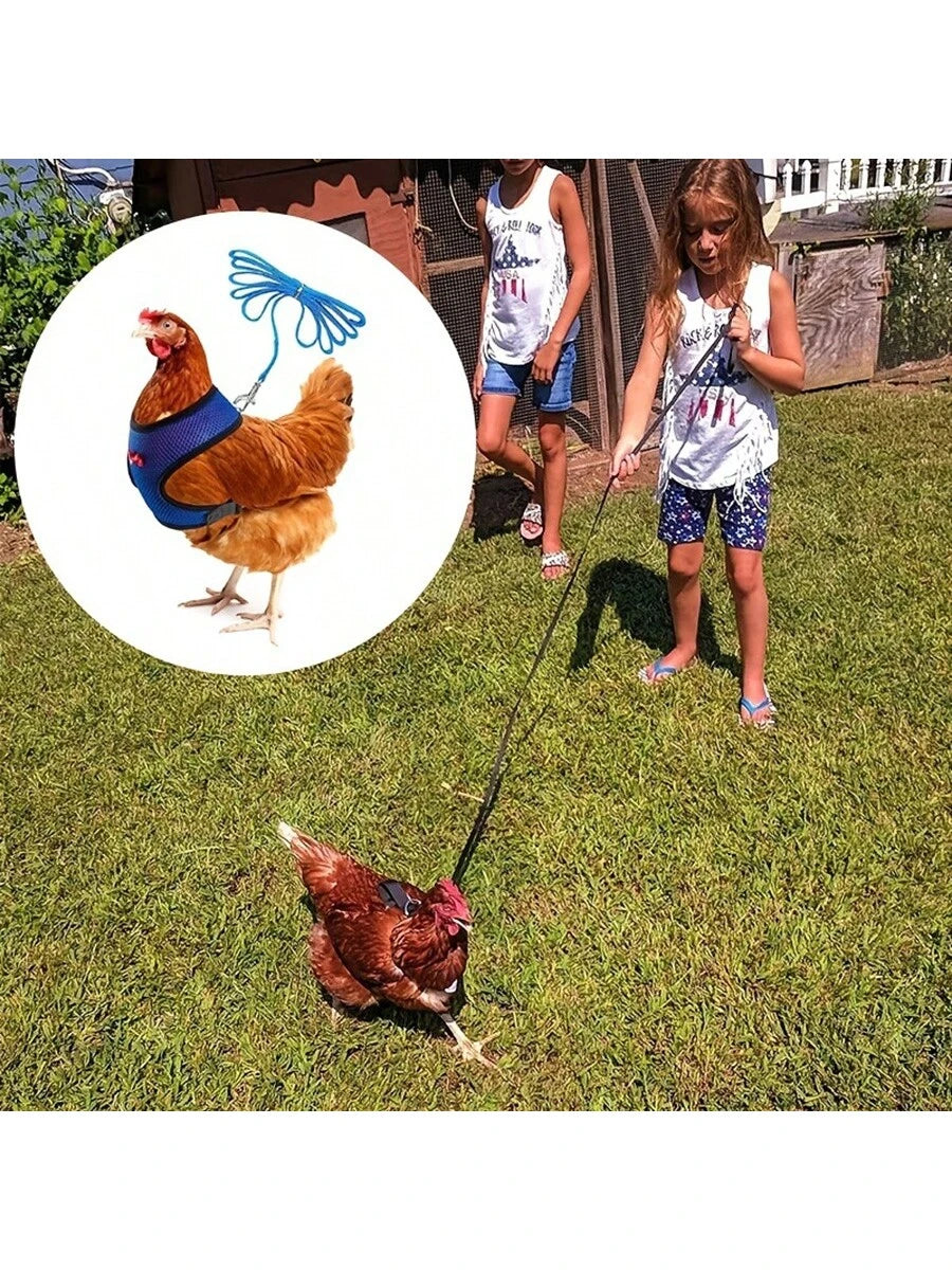 1pc Adjustable Poultry Harness With Leash, Suitable For Chickens, Ducks, Geese- Comfortable Breathable Mesh Chicken Vest