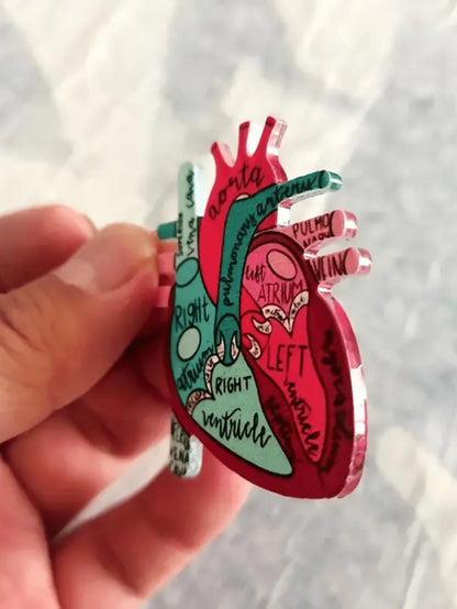 1pc Anatomical Heart Diagram Retractable Badge Reel For Nursing School Stylish Anatomical Heart Diagram Badge Buckle Card Holder For Hospital Workers Nurse Gifts School Supplies Teacher Gifts Back To