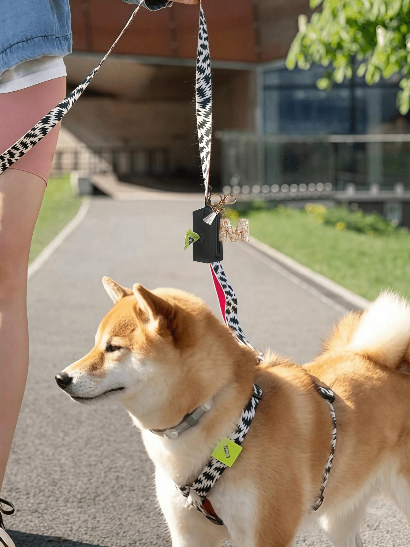 1Pc Black Dog Poop Bag Dispenser With Keychain, Portable Outdoor Pet Waste Bag Holder, Lightweight Dog Poop Pouch Carrier For Walking Hiking Travel