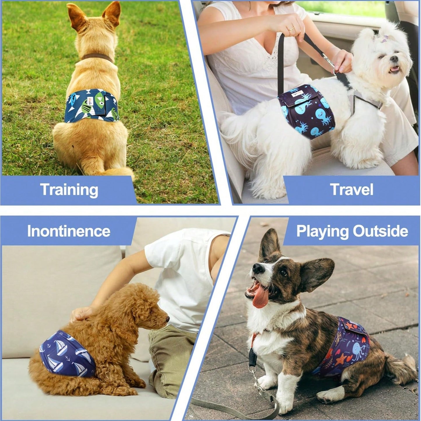 1pc Dog Diaper, Elastic Waistband, Pet Sanitary Pants, Super Absorbent Dog Diapers, Pet Supplies, Suitable For Dogs In Heat, Excitement Urination Or Urinary Incontinence, Suitable For Small And Medium