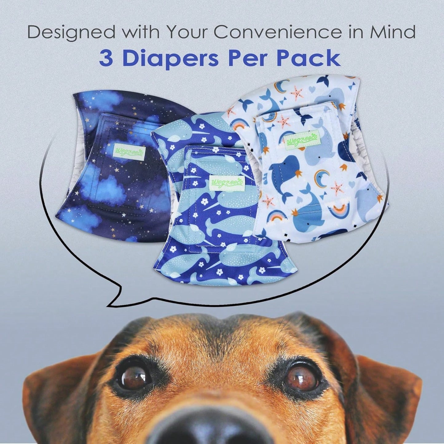 1pc Dog Diaper, Elastic Waistband, Pet Sanitary Pants, Super Absorbent Dog Diapers, Pet Supplies, Suitable For Dogs In Heat, Excitement Urination Or Urinary Incontinence, Suitable For Small And Medium