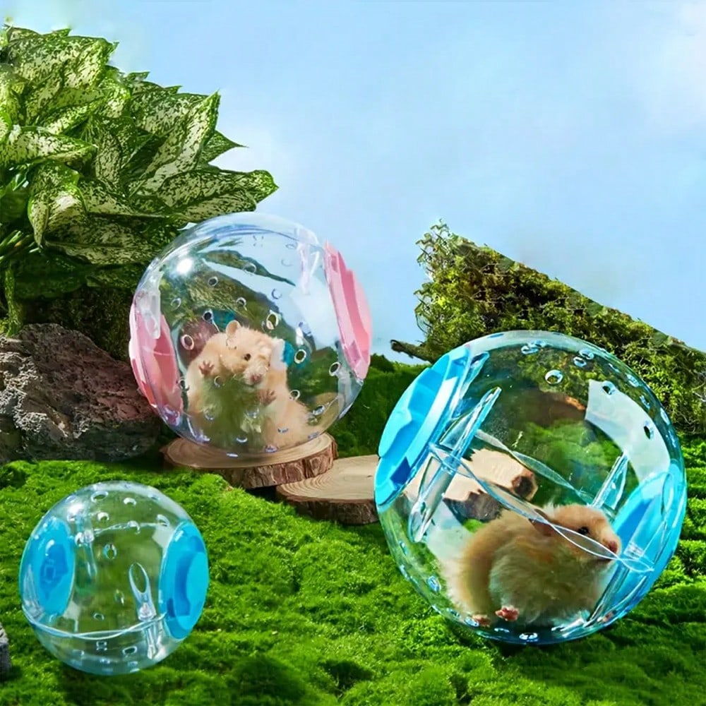 1pc Hamster Running Wheel With Stand, Hamster Running Disc, Transparent Crystal Exercise Ball, Small Pet Toy Supplies