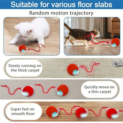 1pc Interactive Cat/Dog Toy Ball, Smart Moving Electric Cat Toy Ball, Suitable For Small/Medium/Large Cats Indoor Exercise, USB Rechargeable, Cat Toy Ball With Tail String