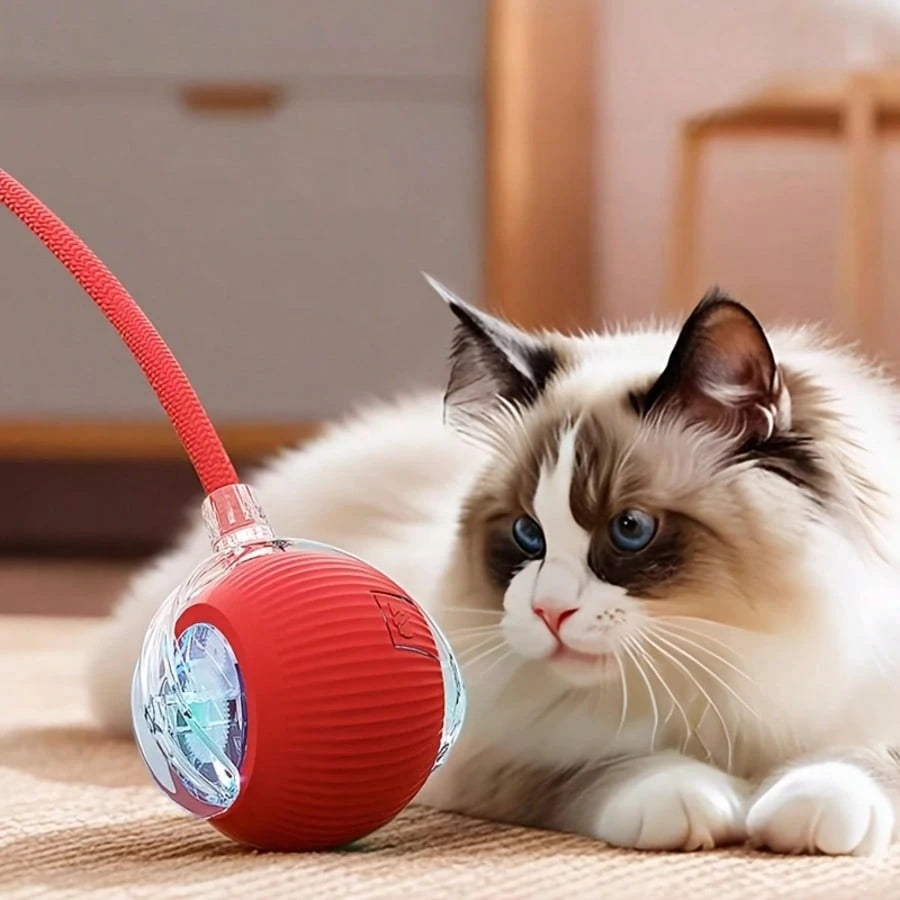 1pc Interactive Cat/Dog Toy Ball, Smart Moving Electric Cat Toy Ball, Suitable For Small/Medium/Large Cats Indoor Exercise, USB Rechargeable, Cat Toy Ball With Tail String
