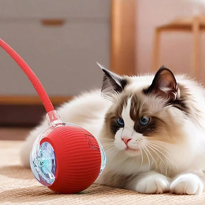 1pc Interactive Cat/Dog Toy Ball, Smart Moving Electric Cat Toy Ball, Suitable For Small/Medium/Large Cats Indoor Exercise, USB Rechargeable, Cat Toy Ball With Tail String