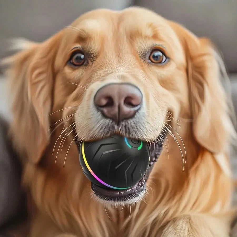 1pc Random Color Smart Pet Bouncing Ball, Fun And Durable Interactive Toy, USB Rechargeable, Thermoplastic Rubber, Random Movement, Suitable For Small Dogs, Suitable For Puppies To Play