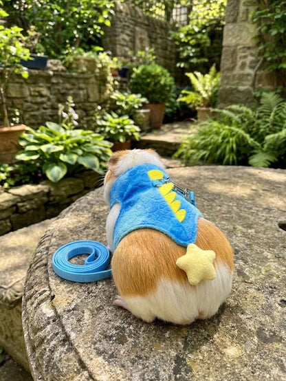 1pc Soft Dinosaur Theme Harness & Leash Set (Blue/Pink)- Cute Dinosaur Design With Bell; Suitable For Daily Walks, Photos And Outdoor Adventures; Fits Rabbits, Ferrets, Guinea Pigs And Kittens