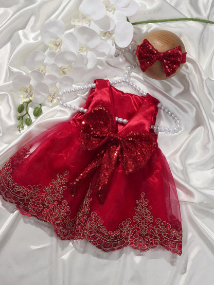 2pcs/Set Champagne Color Newborn Photography Outfit, Princess Embroidered Tulle Dress & Baby Girl Lace Bow Floral Skirt
