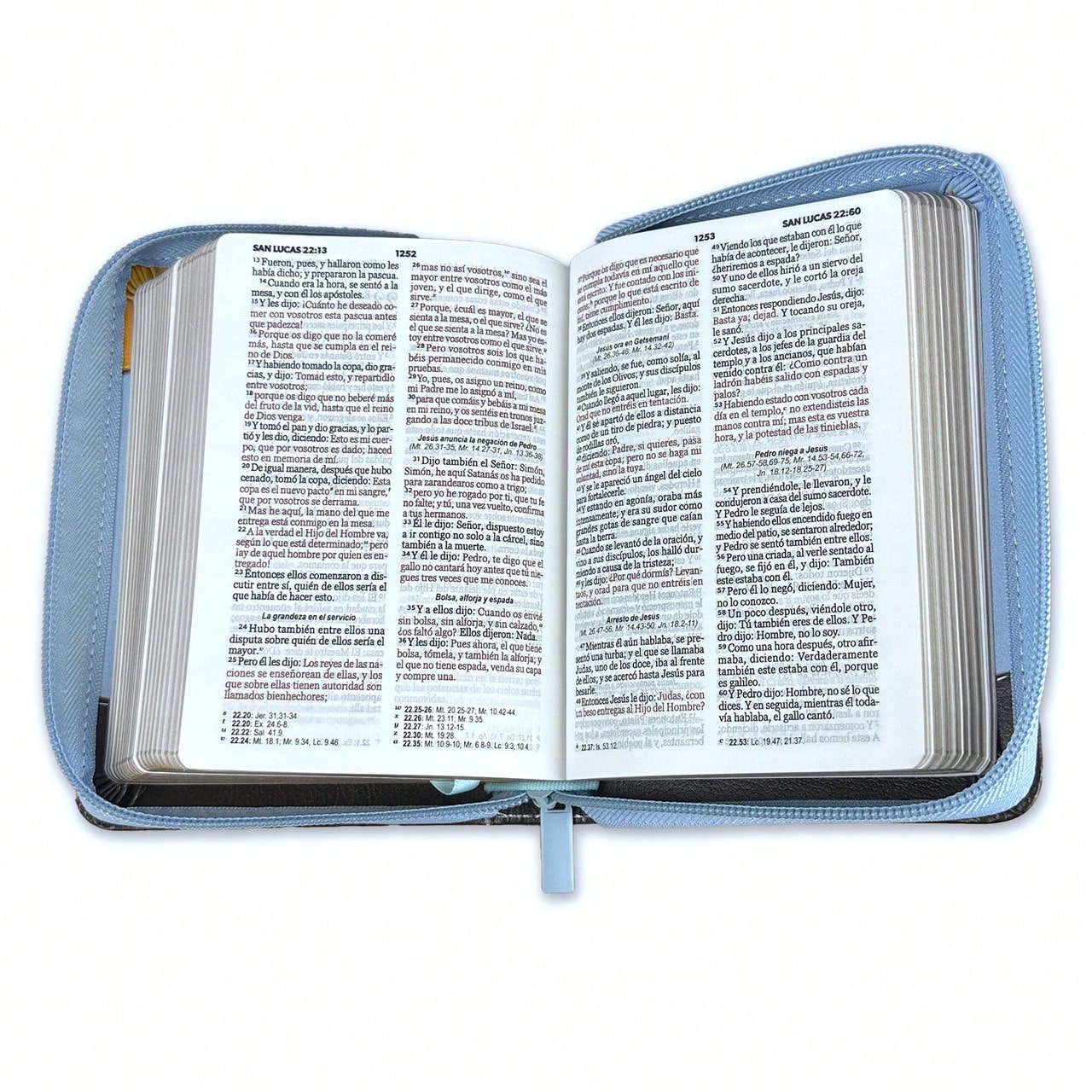 Biblia De Bolsillo Con Cierre RV1960 Imit Cafe/Azul Abejas