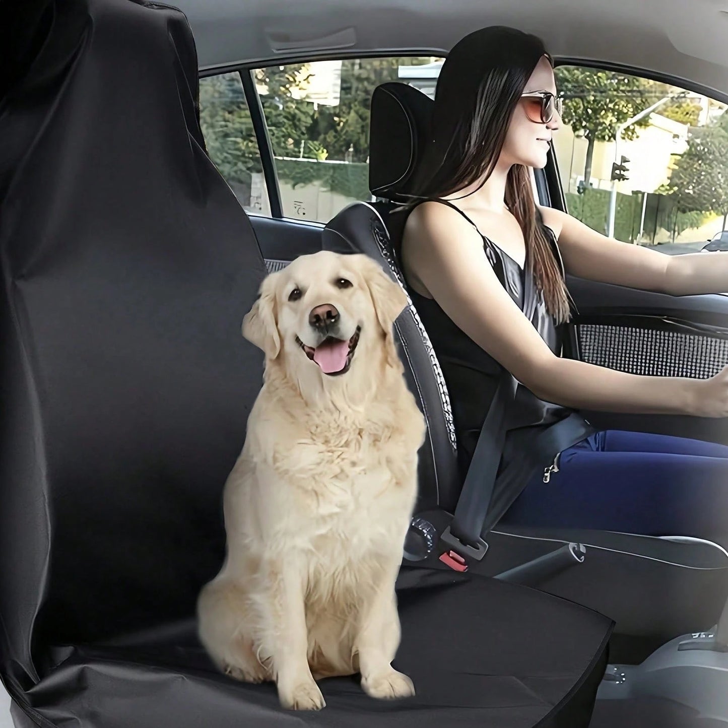 Car Seat Covers, Universal Waterproof Front And Rear Row Car Seat Covers, Cool And Comfortable In Summer, Black, Suitable For Families With Pets, Essential Car Accessory To Prevent Pet Hair Contaminat