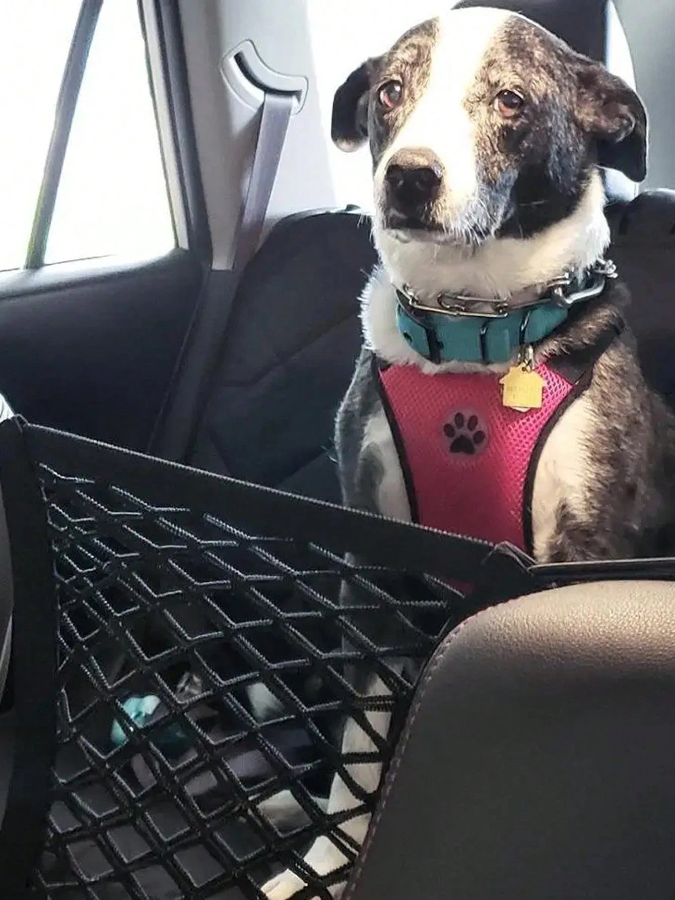 Dog Car Barrier Net With Automatic Retractable Storage Bag, Extendable Pocket For Baby, Universal Fit For Sedan & SUV- Easy Installation, Provides In-Car Partition For Child And Pet Driving