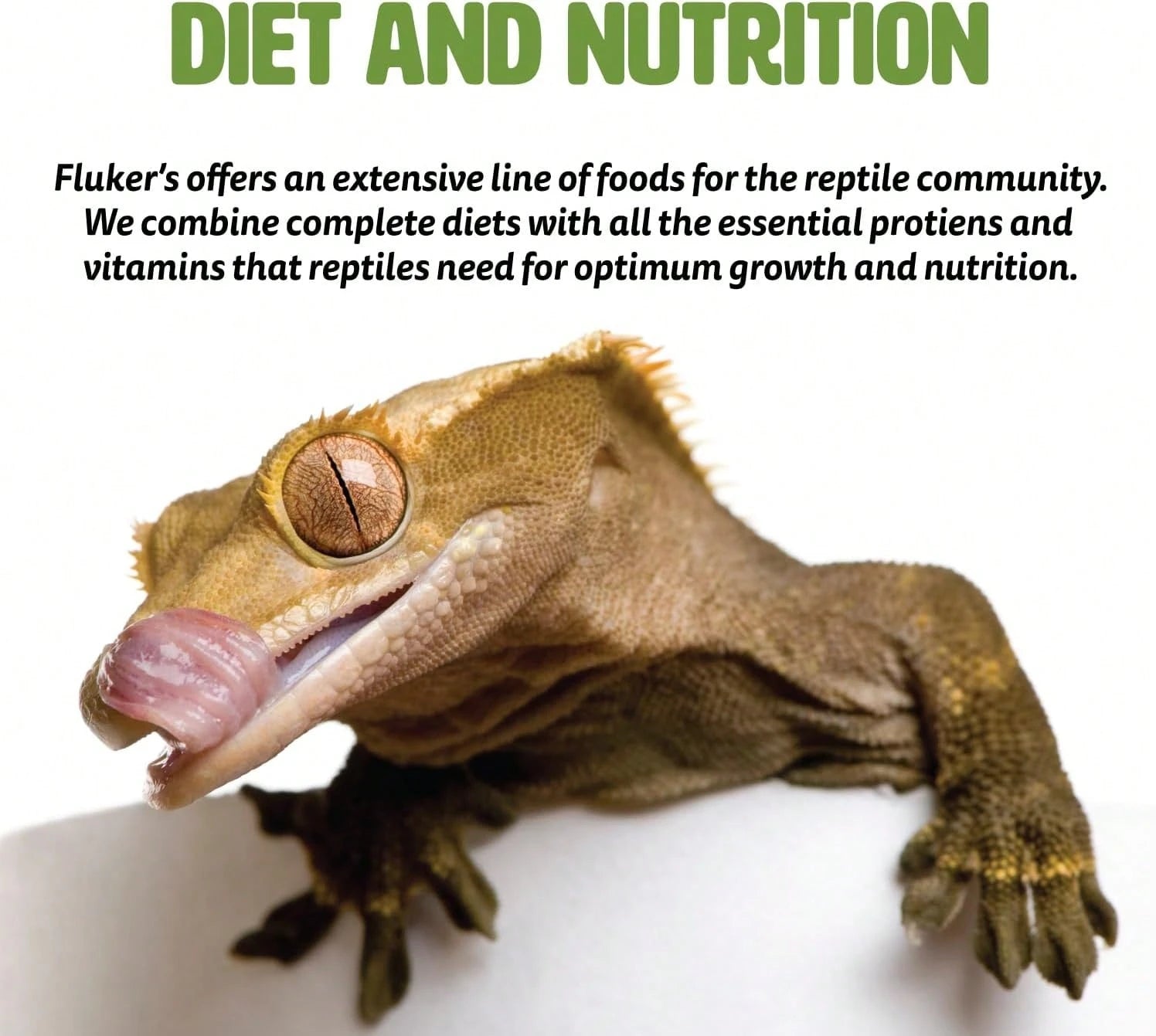 Fluker'S Buffet Blend Adult Bearded Dragon Veggie Variety Diet, 7 Oz