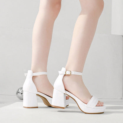 Girls Chunky Heel Strappy Sandals Open Toe Ankle Buckle Dress Shoes For Wedding Party School Little Big Kids