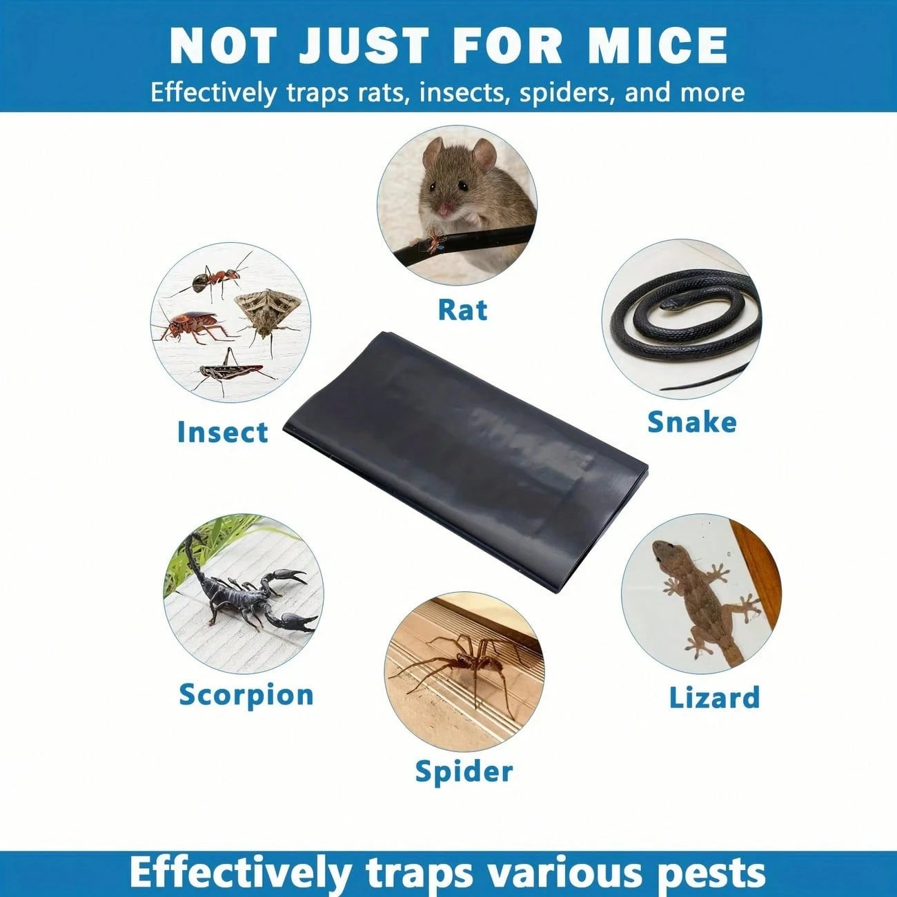 Mouse Trap Rat Trap Rodent Trap Live Catch Cage Easy To Set Up And Reuse Galvanized For Rust Prevention Mouse Trap,Mouse Catchers,Stainless Steel Mouse Trap,Humanized Mouse Trap For Catching And Relea