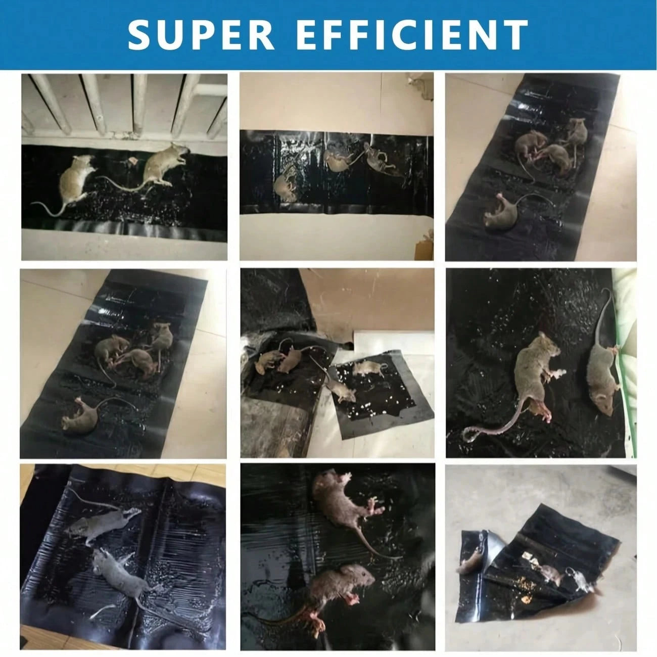 Mouse Trap Rat Trap Rodent Trap Live Catch Cage Easy To Set Up And Reuse Galvanized For Rust Prevention Mouse Trap,Mouse Catchers,Stainless Steel Mouse Trap,Humanized Mouse Trap For Catching And Relea
