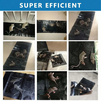 Mouse Trap Rat Trap Rodent Trap Live Catch Cage Easy To Set Up And Reuse Galvanized For Rust Prevention Mouse Trap,Mouse Catchers,Stainless Steel Mouse Trap,Humanized Mouse Trap For Catching And Relea