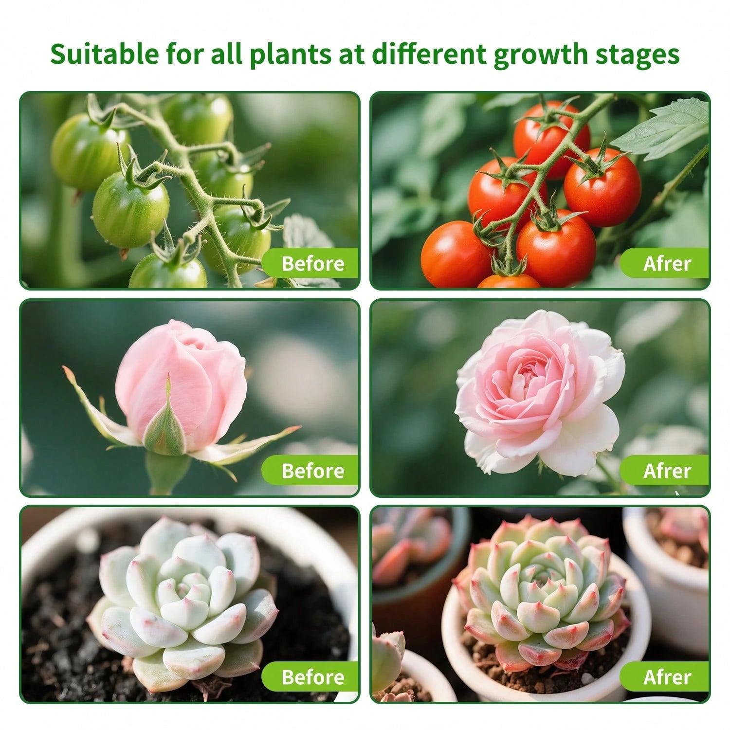 PARAKEET LED Plant Growth Lamp- 6 Head Clip Lamp, Red And Blue Light, With Timer And Dimming Function, Suitable For Indoor Succulent Seedling Cultivation And Supplementary Lighting.