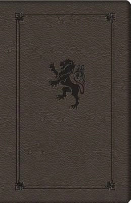 Pre-Owned Destinado Al éxito: Cómo Alcanzar Tus Mejores Sueños (Paperback) By Dante Gebel
